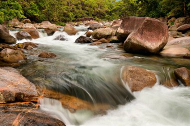 Mossman Nehri, Daintree Ulusal Parkı, Queensland, Avustralya