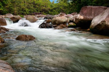 Mossman Nehri, Daintree Ulusal Parkı, Queensland, Avustralya