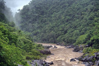 Barron Nehri, Barron Boğazı Cairns yakınları, Queensland, Avustralya