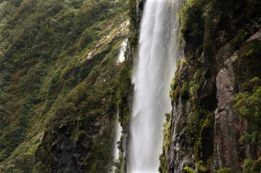 Milford Sound, Güney Adası, Yeni Zelanda