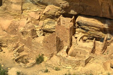 Cliff, Mesa Verde Ulusal Parkı, ABD 'de ikamet ediyor