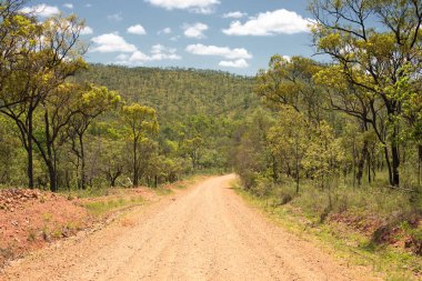 Outback Yolu, Queensland, Avustralya
