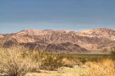 Joshua Tree Ulusal Parkı, Kaliforniya, ABD