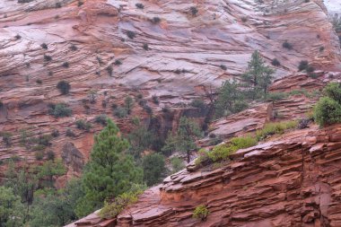 Zion National Park, Utah, bize