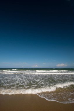 Kuzey Queensland, Avustralya 'da plaj sahnesi