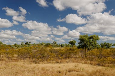 Cloncurry yakınlarındaki Sahne, Outback Queensland, Avustralya