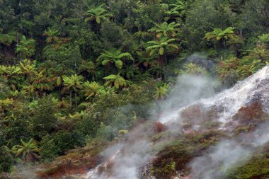 Orakei Korako, Volcanic Thermal Landscape, Rotorua, North Island, New Zealand clipart