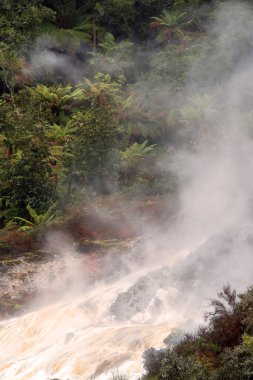 Orakei Korako, Volkanik Termal manzara, Rotorua, Kuzey Adası, Yeni Zelanda