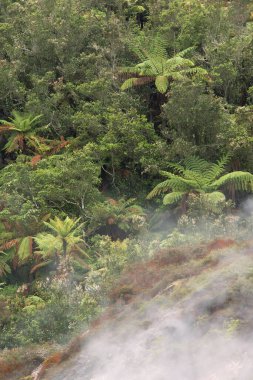 Orakei Korako, Volcanic Thermal Landscape, Rotorua, North Island, New Zealand clipart