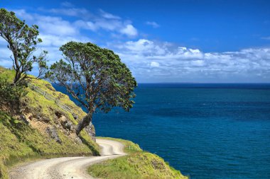 Coromandel Yarımadası, Kuzey Adası, Yeni Zelanda