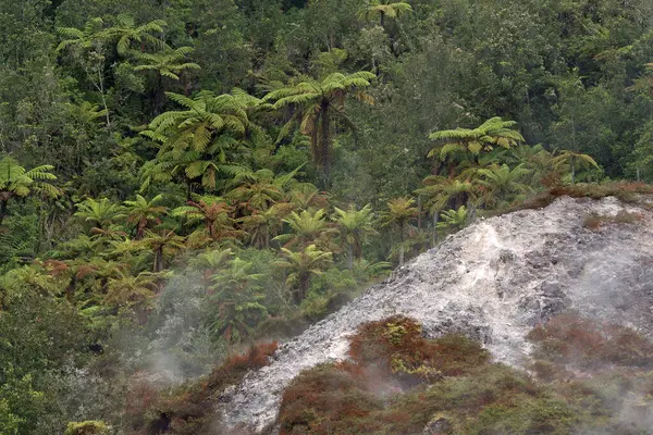 stock image Orakei Korako, Volcanic Thermal Landscape, Rotorua, North Island, New Zealand