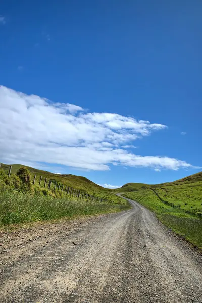 stock image Coromandel Peninsula, North Island, New Zealand