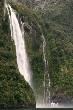 Milford sound, Yeni Zelanda