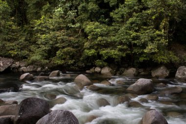 Mossman Nehri, Daintree Ulusal Parkı, Queensland, Avustralya