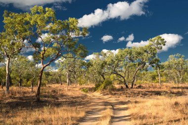Agate Creek Fossicking Area, Forsayth yakınlarında, Kuzey Queensland, Avustralya