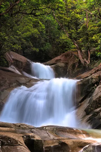 stock image beautiful rainforest scenery of the Cairns region in FNQ, Australia. This tropical paradise features dense foliage, cascading waterfalls, and diverse wildlife, offering a serene and immersive nature experience