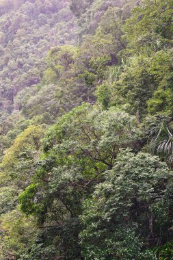 Yalnız Avustralya taşra manzarası, seyahat teması