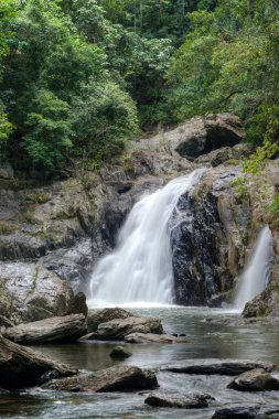 Avustralya, FNQ 'daki Cairns bölgesinin güzel yağmur ormanı manzarası. Bu tropikal cennet yoğun yeşilliklere, çağlayan şelalelere ve çeşitli vahşi yaşama ev sahipliği yapmaktadır.