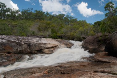 Emerald Creek, Mareeba yakınları, Queensland, Avustralya
