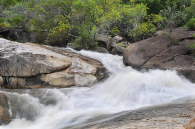 Emerald Creek, Mareeba yakınları, Queensland, Avustralya