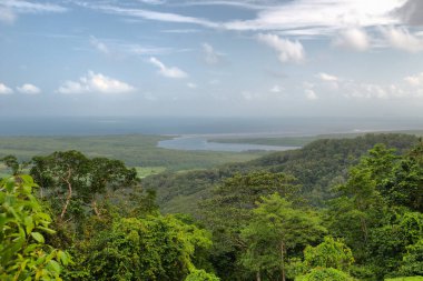 Daintree Ulusal Parkı, Tropikal Queensland, Avustralya                               