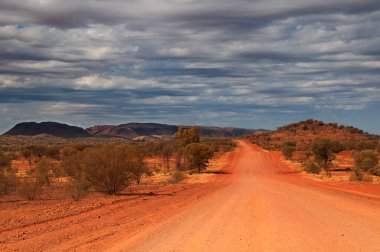 Yağmur Ormanları Manzarası, Uzak Kuzey Queensland, Avustralya
