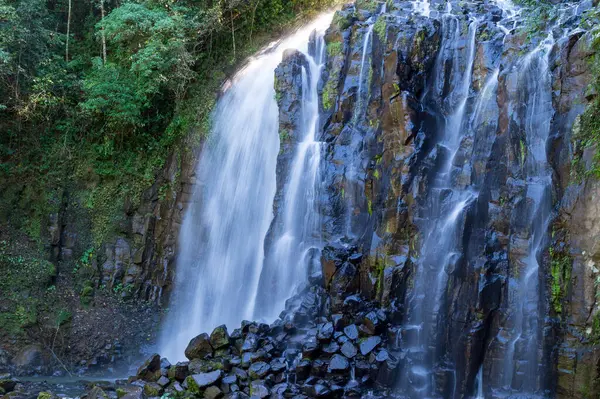 stock image Mungalli Falls in the Atherton Tableland, FNQ, Australia. This scenic waterfall is surrounded by lush rainforest and diverse wildlife, offering a serene and picturesque nature experience