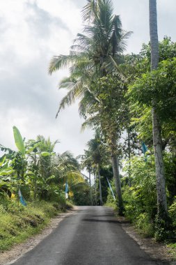Tropik ada, bali, Endonezya