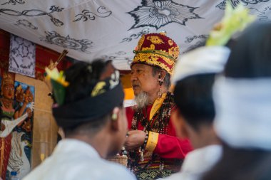 Geleneksel bir bale töreninin portresi. Bali Tapınağı.