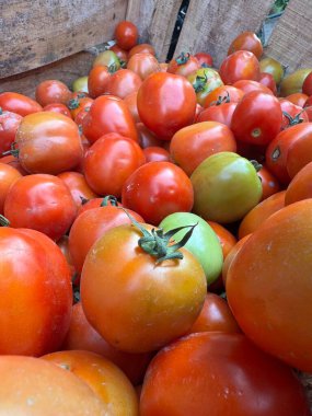 Markette taze kırmızı ve yeşil domatesler