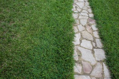 Pathway in the garden outdoor, forward stepping stones or pebbled in the grass lawn. Using for the roadway to success, achievement, leadership, milestone, vision, and mission concept.