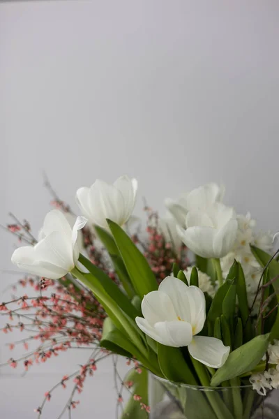 Όμορφη Άνοιξη Μπουκέτο Εποχιακά Λουλούδια Στο Εσωτερικό — Φωτογραφία Αρχείου