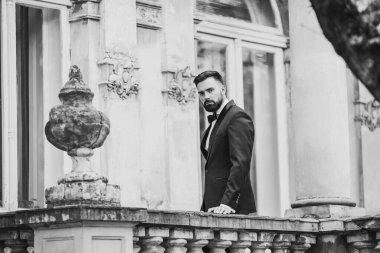 Açık mavi takım elbiseli yakışıklı Çinli genç bir adamın portresi ve beyaz atlet, güneşli bir günde modern şehir binalarıyla yürüyor ve uzaklara bakıyor, kendinden emin iş adamının yan görünüşü..