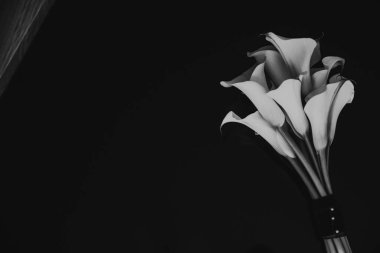 Sahilde düğün ayarı.