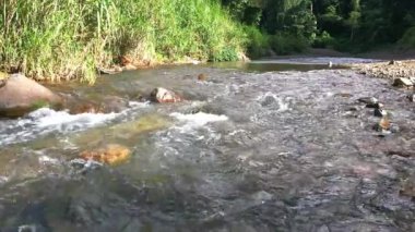Bereketli yeşil dağların ve Corozal, Porto Riko 'daki dolambaçlı nehrin nefes kesici hava manzarası.. 