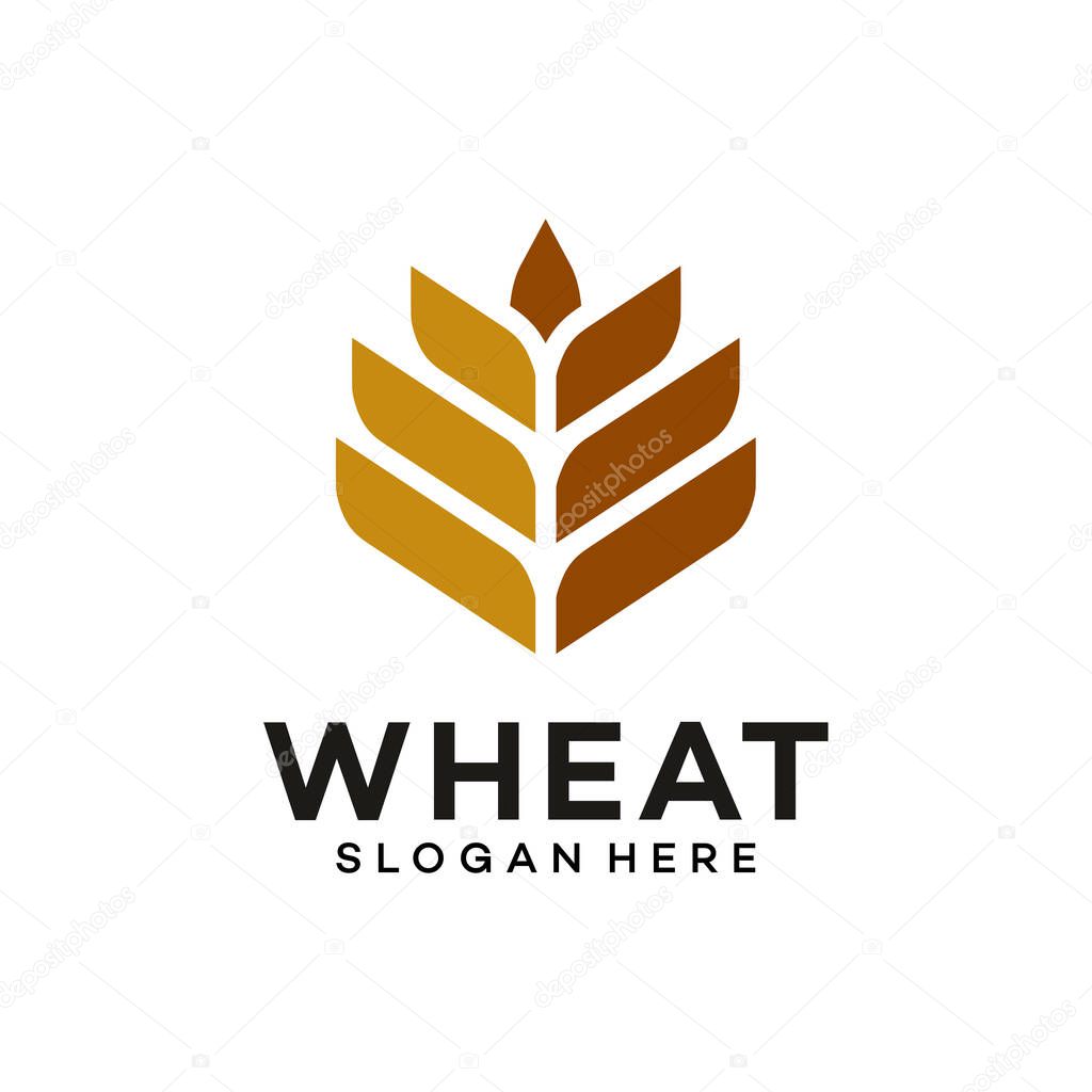 Luxury Grain wheat logo concept, Agriculture wheat Logo Template vector icon