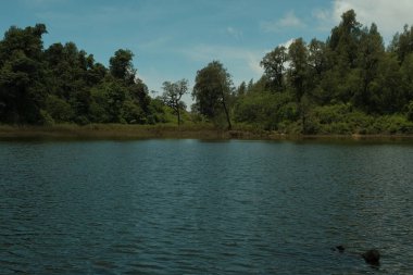 Endonezya 'daki göl manzarası, mavi gökyüzü ve suyun etrafındaki ağaçlar, doğu Java.