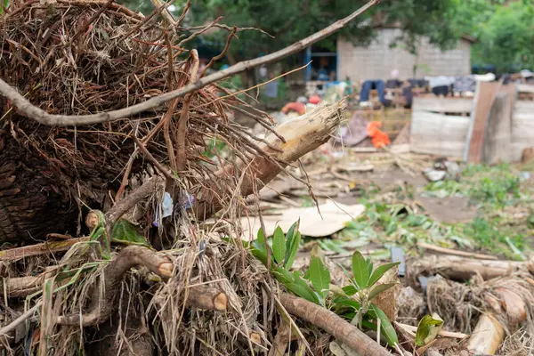 5 Şubat 2025 'te Jawatimur Endonezya' daki büyük sel baskınından dolayı enkaz dağıldı..