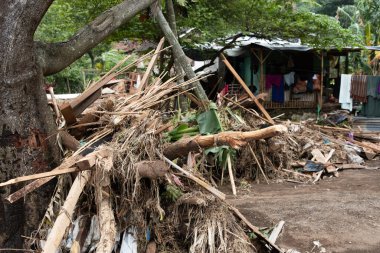5 Şubat 2025 'te Doğu Cava, Endonezya' da büyük bir sel felaketi sonucu yıkılan bir ev..
