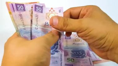 Meksika banknotları ve farklı değerlerdeki bozuk paralar sayılıyor