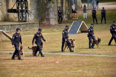 Vigo, Pontevedra, İspanya; 26 Mayıs 2024, Castrelos de Vigo parkındaki bir sergide Ulusal Polis Köpek Rehberleri Derneği 'ne bağlı köpekler geçidi.