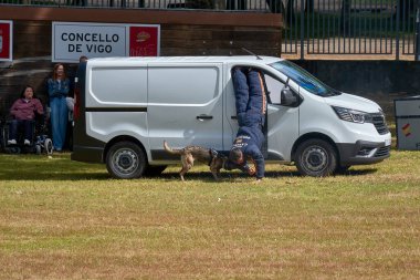 Vigo, Pontevedra, İspanya; 26 Mayıs 2024; Ulusal Polis Teşkilatı Köpek Rehberleri Derneği 'ne mensup köpeklerin hala suçluları tutukladığı muhteşem sergi