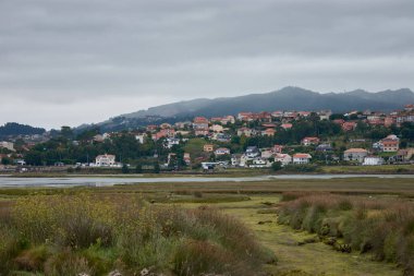 Val del Minor 'un gelgitte değil, gelgitte görülebilen bir sürü bitkisi var..