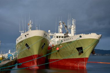 Vigo, Pontevedra, İspanya; 18 Aralık 2022; Oğlak ve Beagle adlı iki dondurucu balıkçı teknesi, bulutlu bir günde Vigo limanına demirlemiş pasla pasla pruvadan görüldüler.