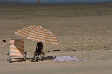 Plajda bir sürü boş sandalye var çünkü sahibi ya yürüyor ya banyo yapıyor ya da sahil barında..