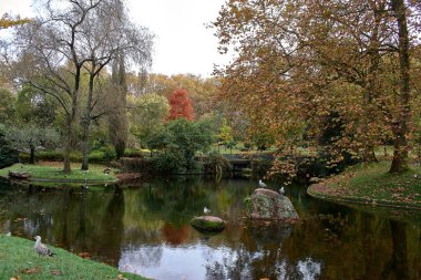 Sonbahar, Vigo 'daki Castrelos parkını kırmızımsı, ahtapot ve sarı renklerle doldurur.