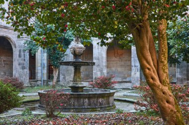 Önünde çiçek açan bir kamelya olan çeşme ve manastır. San Juan de Poio Manastırı, Poio, Pontevedra, Galiçya, İspanya.