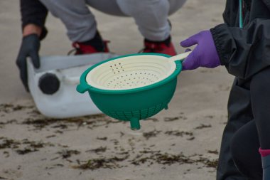 Toplama aletleri, Galiçya 'da beyaz gelgit.