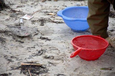 Toplama aletleri, Galiçya 'da beyaz gelgit.