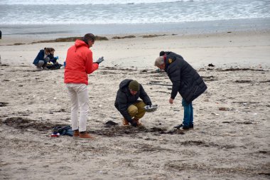 Nigran, İspanya; Ocak 09.2024; Çok sayıda gönüllü, huni, süzgeç, eldiven gibi temel araçlar kullanarak bir tekneye düşen plastik topakları toplamak için Galiçya plajlarına gitti.